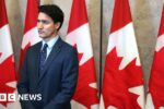 Justin Trudeau standing before Canadian flags